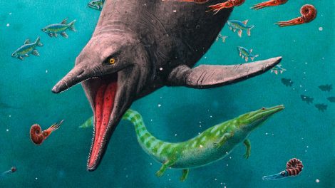 Ichthyosaurier