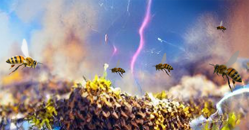 Insekten elektrisieren die Luft - mit bis zu 1000V/m