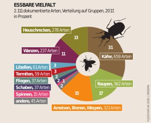 Speiseinsekten