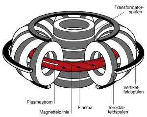 Tokamak-Magnete