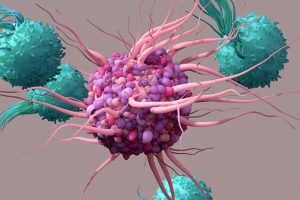 Immunzellen