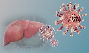 Schematische Darstellung von Hepatitis-Viren und einer Leber