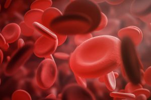 Symbolbild Blutzellen