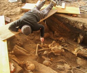 Archäologe präpariert ein Skelett