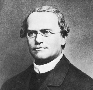 Gregor Mendel