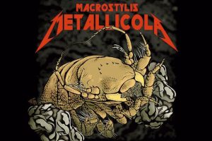 Metallica-Tiefseekrebs