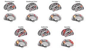 Gehirnscans zeigen aktive Hirnareale bei unterschiedlichen moralischen Kategorien