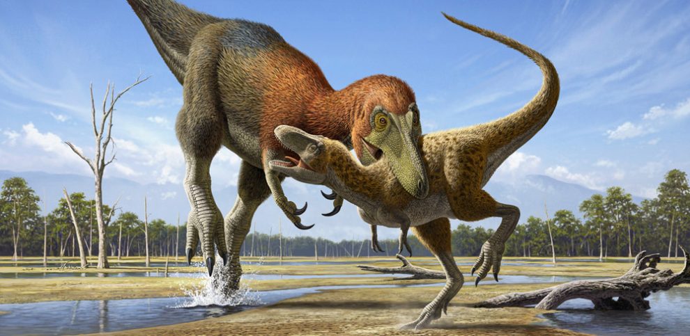 Nanotyrannus und T. rex