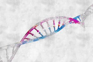Skizze eines DNA-Stranges mit eingefärbtem Abschnitt