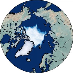 arktisches Meereis