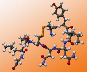 Oxytocin