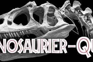 Skelettabguss eines Allosaurus fragilis, Muséum national d'histoire naturelle de Paris
