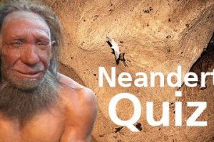 Teaserbild des Neandertaler-Quiz