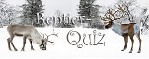 Zwei Rentiere in verschneiter Landschaft und Schriftzug Rentier-Quiz