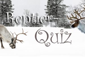 Zwei Rentiere in verschneiter Landschaft und Schriftzug Rentier-Quiz