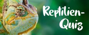 Teaserbild Reptilien-Quiz