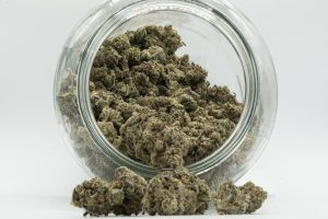 Unverarbeitetes Cannabis