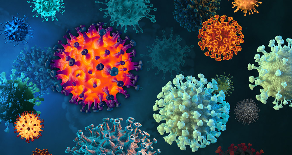 Stamboom van RNA-virussen verdubbelt – RNA-onderzoek identificeert elf nieuwe klassen virussen en vijf nieuwe stammen RNA-virussen