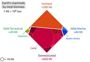 Biomasse-Anteile