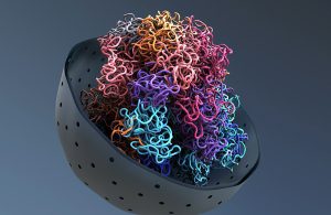 DNA in Zellkern