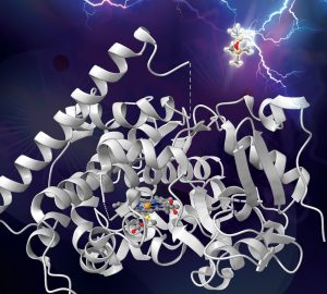 Künstlerische Darstellung eines im Labor entwickelten Enzyms, das eine Silizium-Kohlenstoff-Bindung aufbricht.