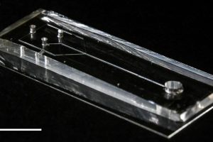 Foto des entwickelten mikrofluidischen Geräts