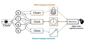 Sprache und visuelles Erinnern