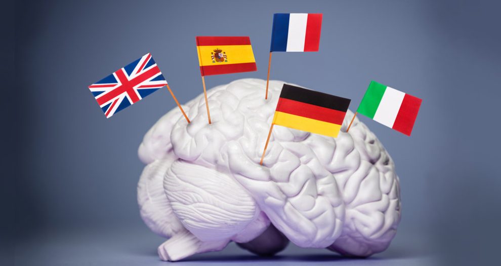 Gehirn und Sprachen