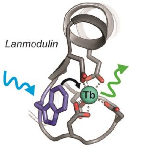 Terbiumsensor