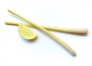 Zitronengras