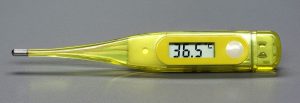 elektronisches Thermometer