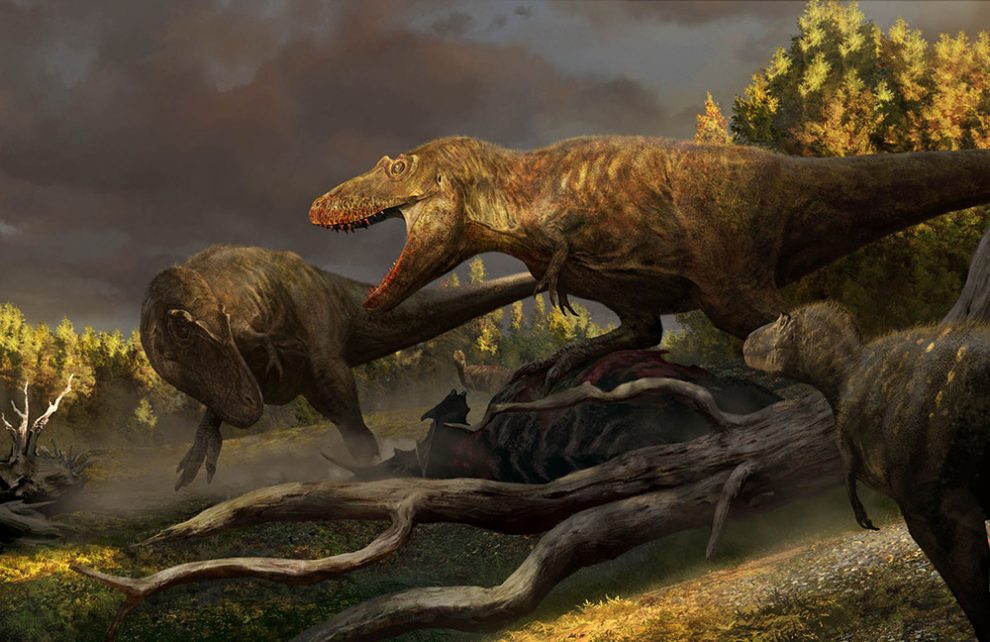 Daspletosaurier