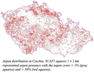 Karte zeigt Verteilung der Zitterpappel in Tschechien
