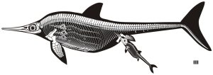 Gebärender Ichthyosaurier