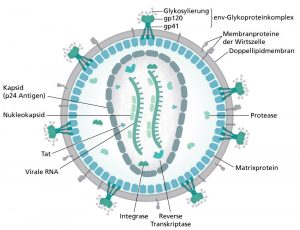 HI-Virus