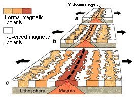 Verteilung der Magnetpolungen entlang eines mittelozeanischen Rückens