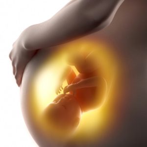 Illustration eines ungeborenen Kindes im Mutterleib