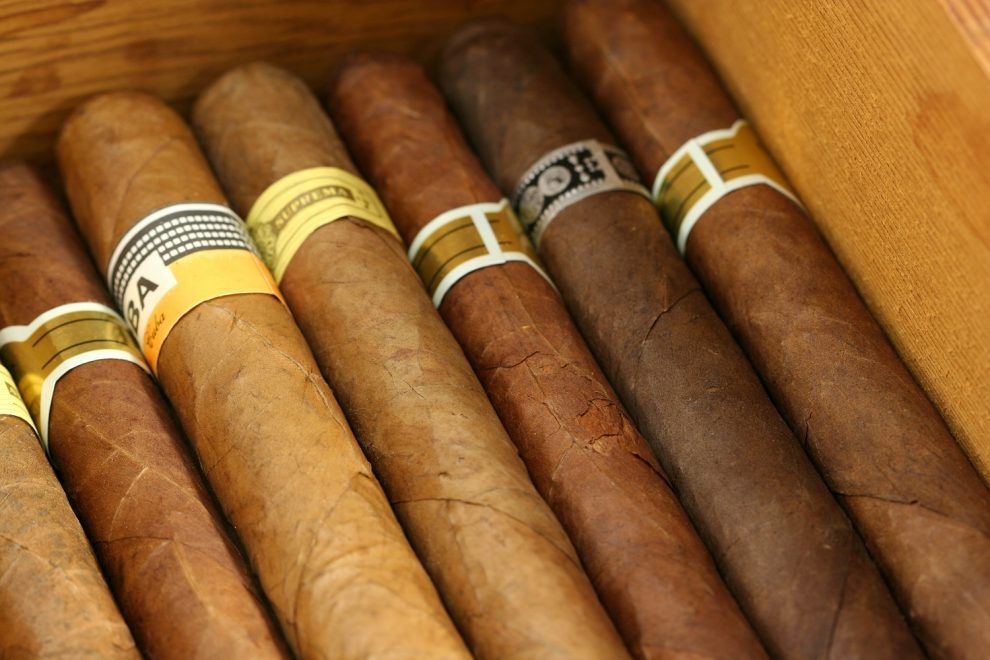 Sortiment kubanischer Zigarren in einem Humidor