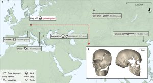 Fundorte von frühen Menschenfossilien